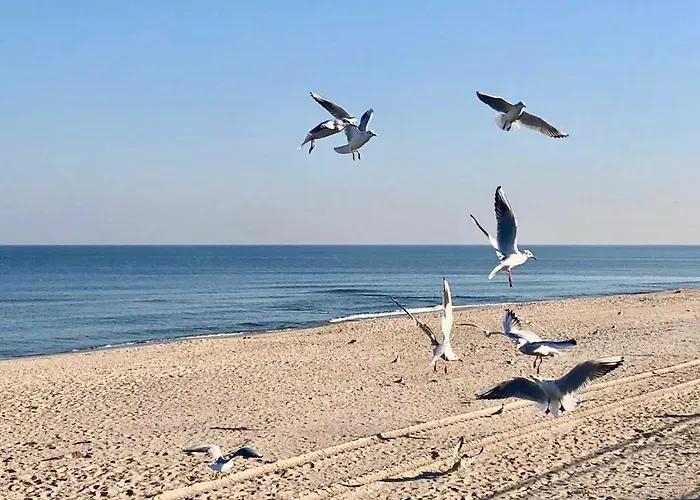 Alojamento de Turismo Selvagem Osada Familia